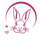 Pink Rabbit Passau